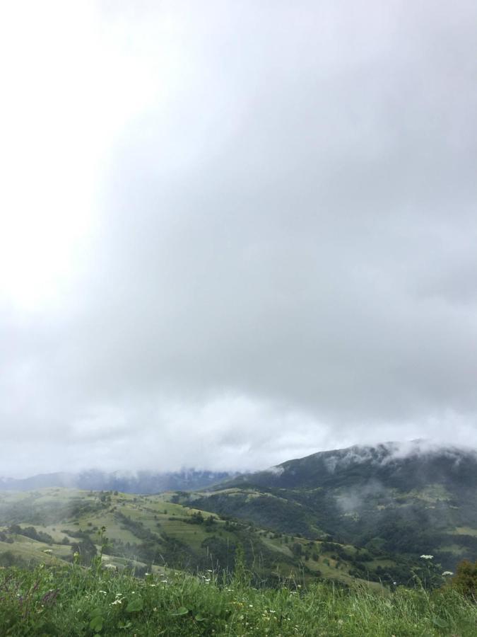 Садиба Between Mountains Mizhhirya  Esterno foto