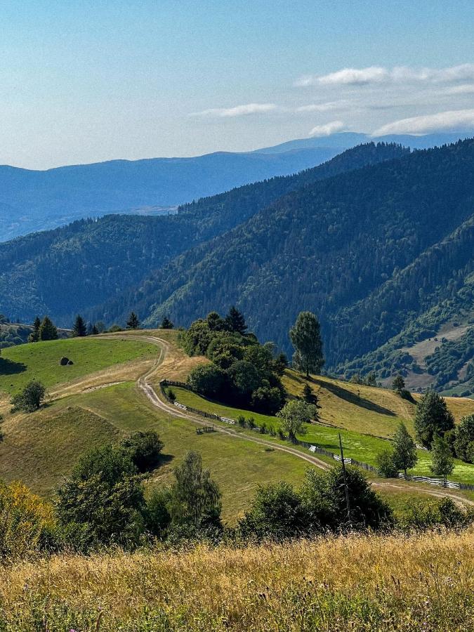 Садиба Between Mountains Mizhhirya  Esterno foto