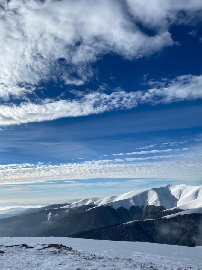 Садиба Between Mountains Mizhhirya  Esterno foto