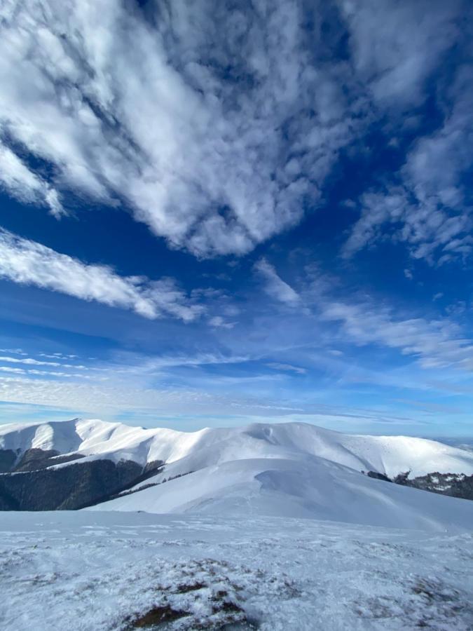 Садиба Between Mountains Mizhhirya  Esterno foto